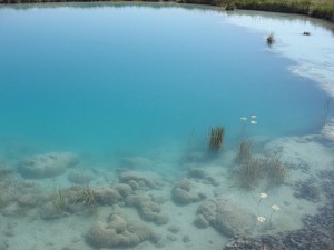 ecologia_microbiana_cuatrocienegas1