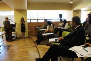 fondo_concursable_seremidesarrollosocial_6