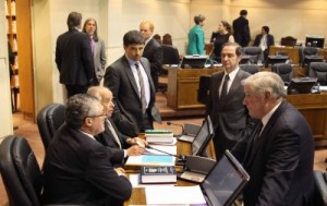 Senado