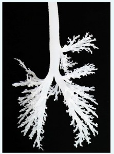 Afiche seminario 2015