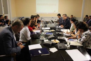 comision_diputados_udelmar_1