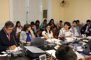 comision_diputados_udelmar_6