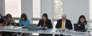comisión_directores_bibliotecas_cruch(2)