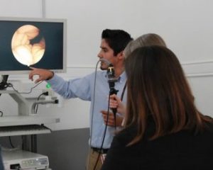 fonoaudiología_upla