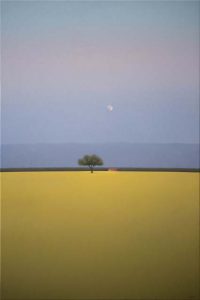 josebasso_cieloconlunallena