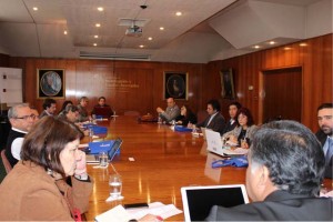 reunion_investigacion_cruch_2