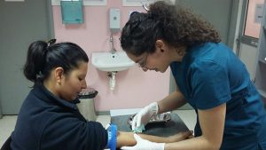 Laboratorio clinico 2