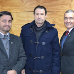 innovacion_curricular_sanfelipeupla_gonzalez_ibanez_pinto