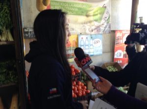 Bolsas ecológicas L Plaza (3)