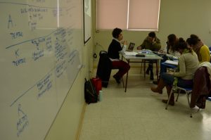 magister_educ_artistica_4