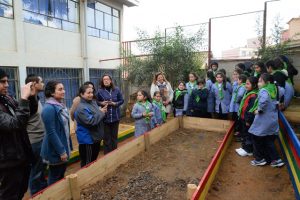 huerto_escuela_america_ingambiental_13