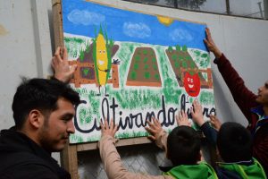 huerto_escuela_america_ingambiental_15