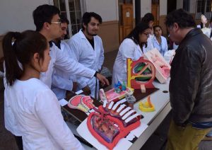 dia-del-fonoaudiologo_04