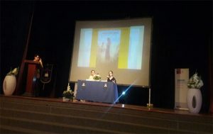 maricelgomezdelaerrechea_copiapo_3