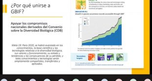 Mesa de Sustentabilidad realiza exitosa jornada de taller en GBIF