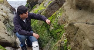 Algas: Bioindicadoras de contaminación y cambio climático