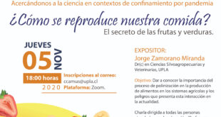 Invitan a conocer los secretos de frutas y verduras. ¿Cómo se reproduce lo que comemos?