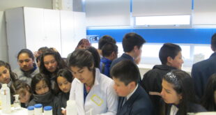 PACE UPLA convoca a concurso público para proveer cargo de Profesor/a de  Ciencias