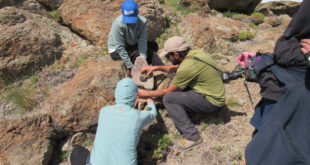 Estudiantes de Geografía registran fauna silvestre de Putaendo junto a la comunidad