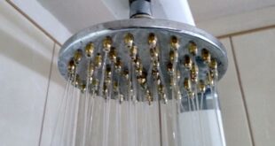 Académica UPLA sugiere dar doble uso a las aguas grises del hogar