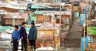 Observatorio de Participación Social y Territorio abre cuatro convocatorias para tesistas