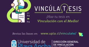 VINCÚLA-TESIS: tesistas pueden postular a financiamiento para sus investigaciones