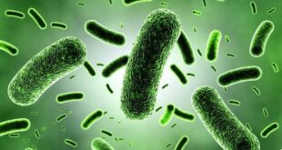 Continúan XVIII Coloquios de Microbiología Valparaíso 2021