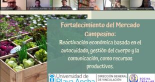 Consejo Ciudadano UPLA comienza revisión de proyectos postulados al Fondo de Aceleración de Innovación Social