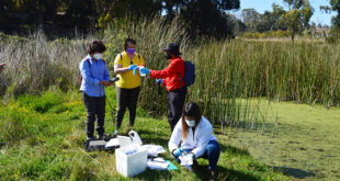 Facultad de Ingeniería UPLA inició monitoreo ambiental y ciudadano en el Humedal de Mantagua