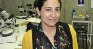 Académica de Pedagogía en Física junto a científicos nacionales bautizan a astros extrasolares con nombres de flores endémicas de Chile