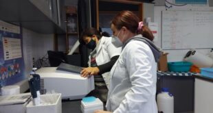 Centro de Estudios Ambientales de la UPLA se reactiva con asesorías especializadas externas