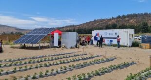 Subsecretario de Agricultura visita instalaciones de pionera planta desaladora con fines agrícolas
