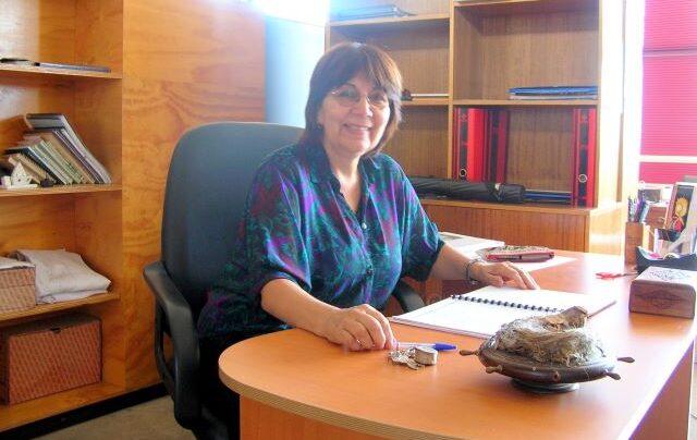 La profesora María Cristina Medina aparece en el escritorio de su oficina de la Universidad de Playa Ancha.