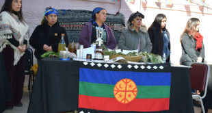 Con muestra cultural sobre el pueblo Mapuche concluyó semana de Bienvenida del ITEC 2024