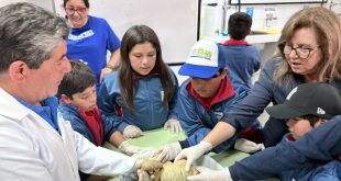De la sala de clases al laboratorio: Estudiantes de Escuela Bucalemito exploran el cuerpo humano y tejidos animales en la  UPLA