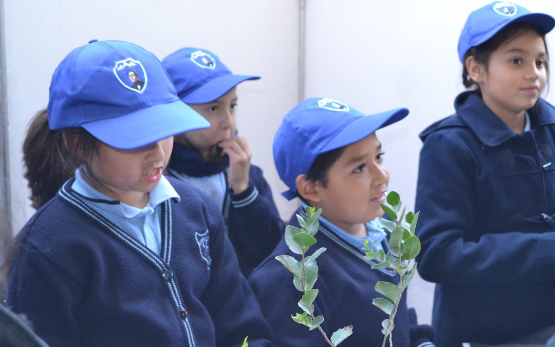 Escolares del Valle de Aconcagua participaron de muestra científica en el campus San Felipe