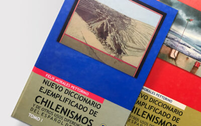 Nuevo diccionario ejemplificado de chilenismos / Félix Morales Pettorino