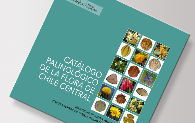 TAPA-CATALOGO-PALINO